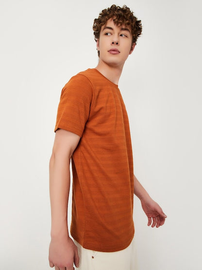 Striped Regular Fit Cotton T-shirt