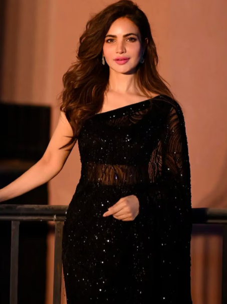 Black Sequinned Embellished Saree