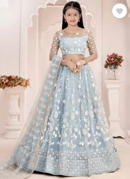 Girls Lehenga Choli Ethnic Wear, Party Wear Embroidered Lehenga, Choli and Dupatta Set