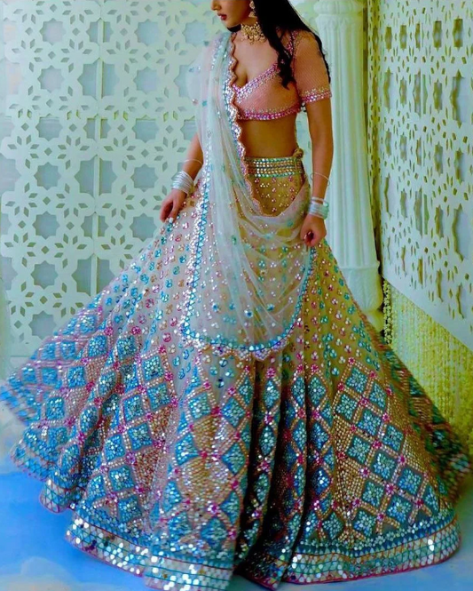 Multi Embroidered Net Lehenga Choli