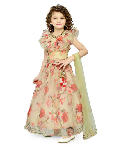 Toddler Girls Teentaare Organza Sleeveless Floral Printed Choli Lehenga & Dupatta Set