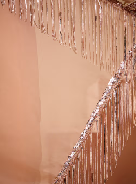 Peach Sequin Embellished with Fringe Detail Saree