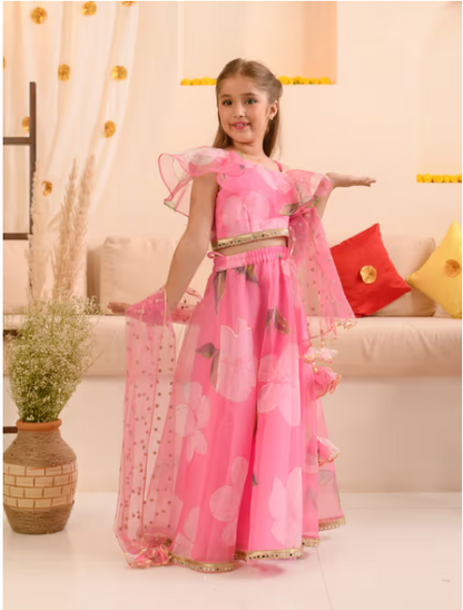 Pink Organza Lehenga Choli