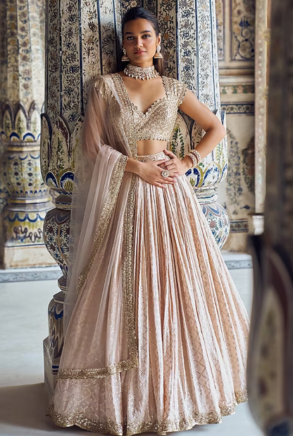 Nude Brocade & Shantoon Thread Embroidered Lehenga Set