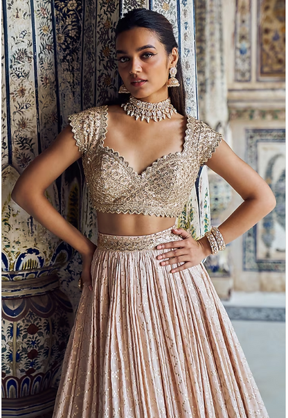 Nude Brocade & Shantoon Thread Embroidered Lehenga Set