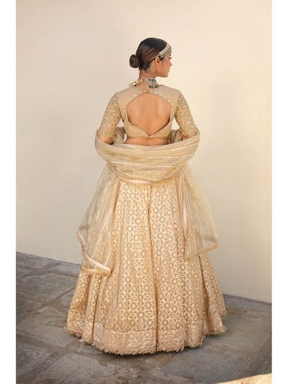 Neha Khullar Banarasi Chanderi Lehenga