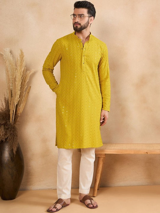 Ethnic Motifs Embroidered Mandarin Collar Straight Kurta