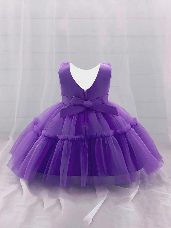 Buggu Net Flared Ruffle Pattern Sleeveless Baby Girl Frock