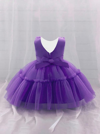 Buggu Net Flared Ruffle Pattern Sleeveless Baby Girl Frock