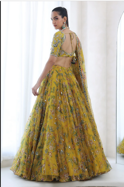 Embroidered blouse with heavily embroidered lehenga and dupatta