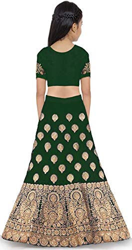 Dizvu Girls for new lehengha choli tafeta silk Lehenga Choli