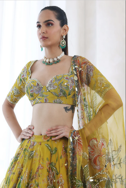 Embroidered blouse with heavily embroidered lehenga and dupatta