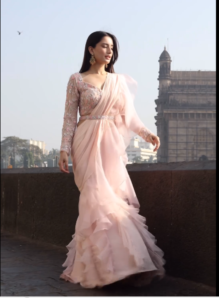 Pale Peach Chiffon & Organza Saree Set