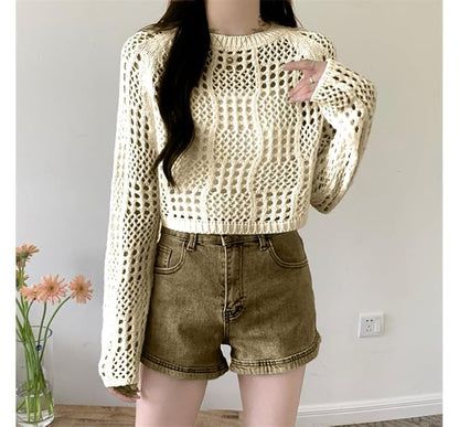 Long-Sleeve Round Neck Plain Perforated Knit Top