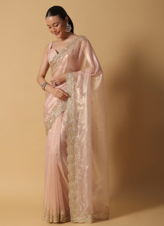 Gold Toned Tissue Saree With Cut Dana Embroidered Borders