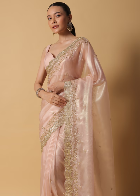 Gold Toned Tissue Saree With Cut Dana Embroidered Borders