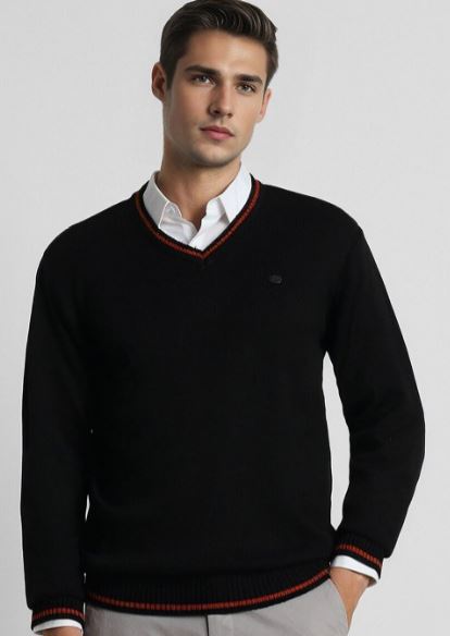 Men Casuals Solid V Neck Sweaters