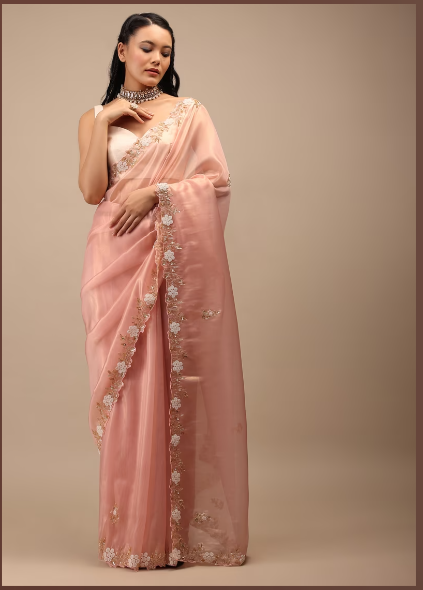 Rose Glass Tissue Saree In White Moti And Cut Dana Embroidery Buttis, Border Has Cutwork Detailing