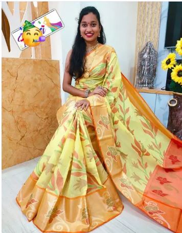 Ikkat Pochampally Banita Fashionable Sarees