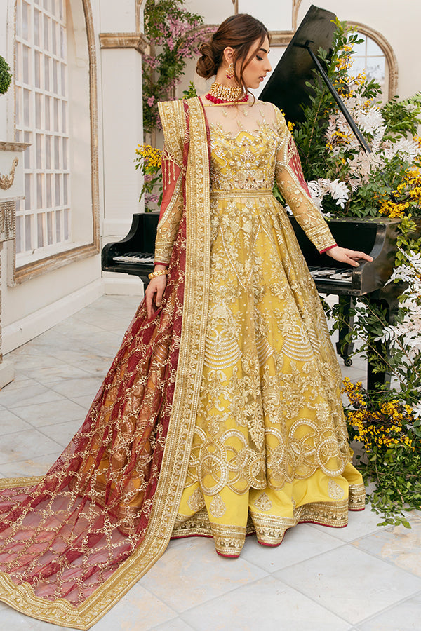 Yellow Color Round V Cut Flare Gown Collection