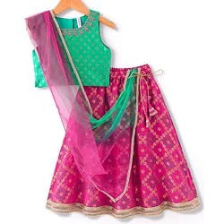 Sleeveless Floral Embroidered Lehenga Choli and Dupatta