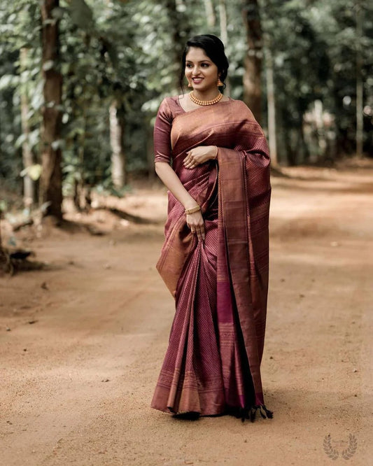 Maroon Soft Silk Saree With Demure Blouse Piece