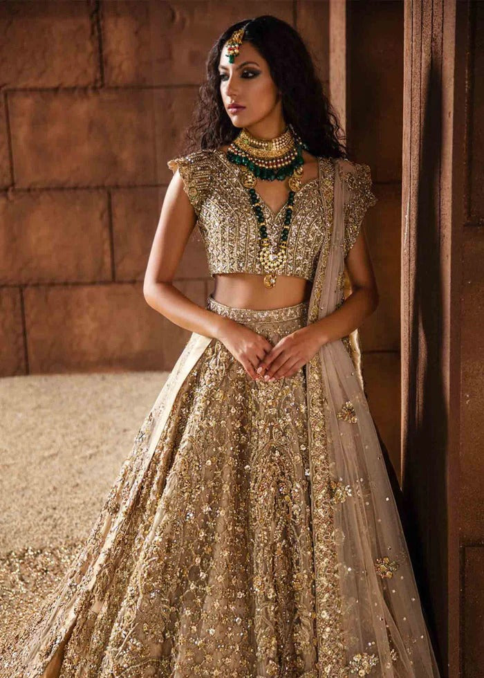 Sequin Work Wedding wear Lehenga Choli Collection