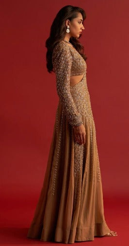 Gold Organza Auric Zari Embellished Saree Gown