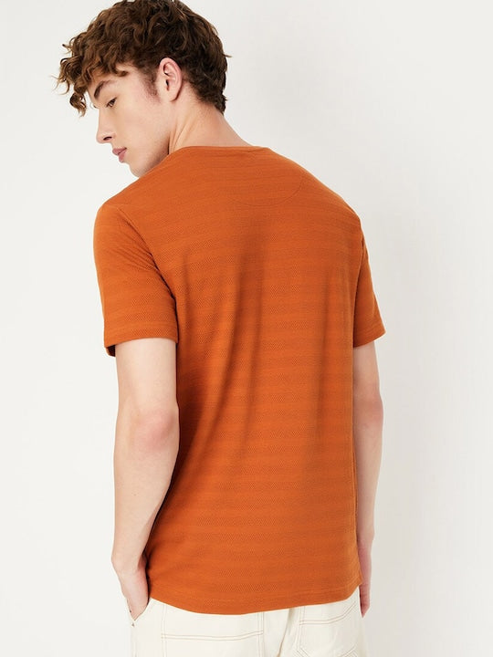 Striped Regular Fit Cotton T-shirt