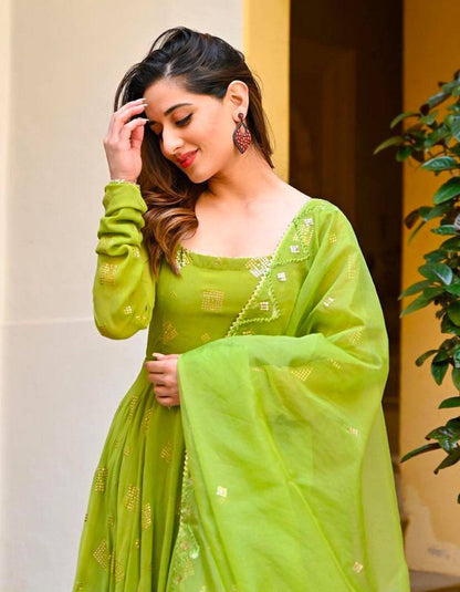 Light Green Georgette Embroidery Gown