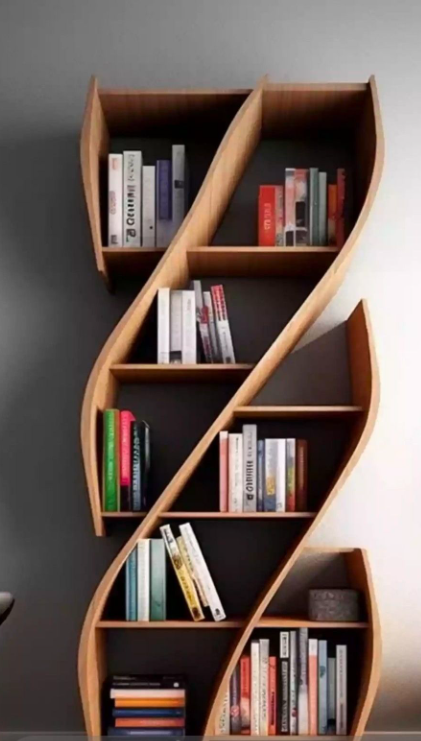Contemporary S-Shaped Wooden Bookshelf Display Rack